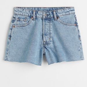 H&M | Vintage High Denim Shorts (12)